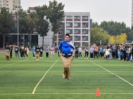 Solana链上博彩DApp交易量激增